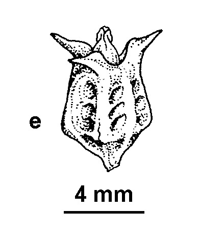 Emex (hero image)